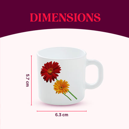Larah by Borosil Zinnia Mug Set 100 ml x 6