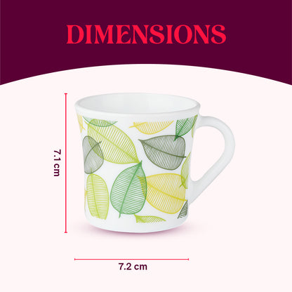 Larah by Borosil Crysta Noma Mug Set 160 ml x 6