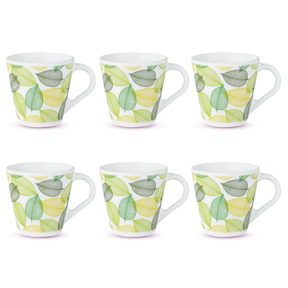 Larah by Borosil Novelty Noma Mug Set 160 ml x 6