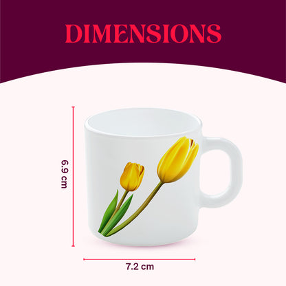 Larah by Borosil Lyana Mug Set 180 ml x 6