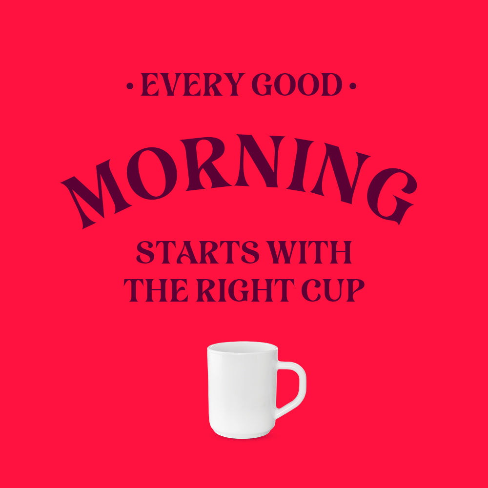 Larah By Borosil White Mug Set 240 ml x 6