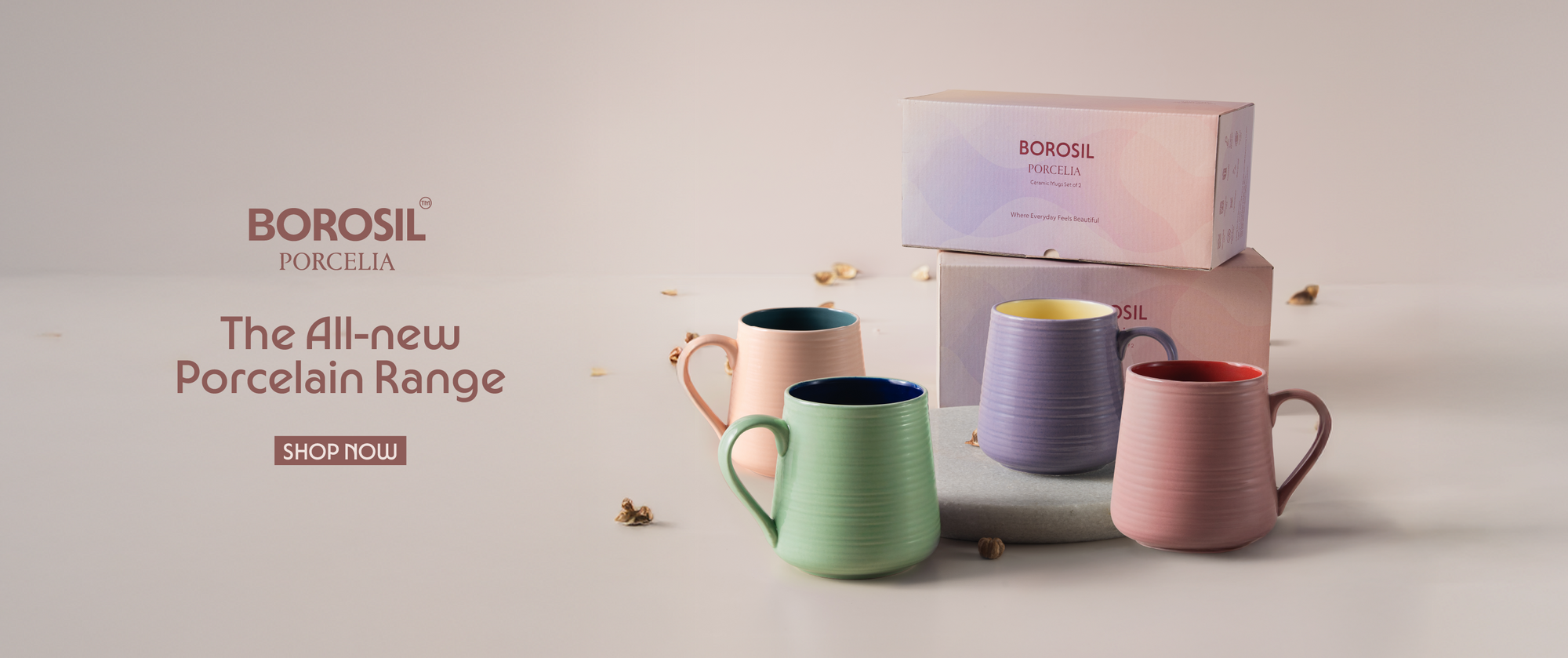 Borosil Coupons Banner