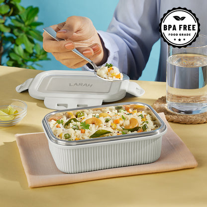 Larah Freshbyte Rectangular Lunch Box, Grey