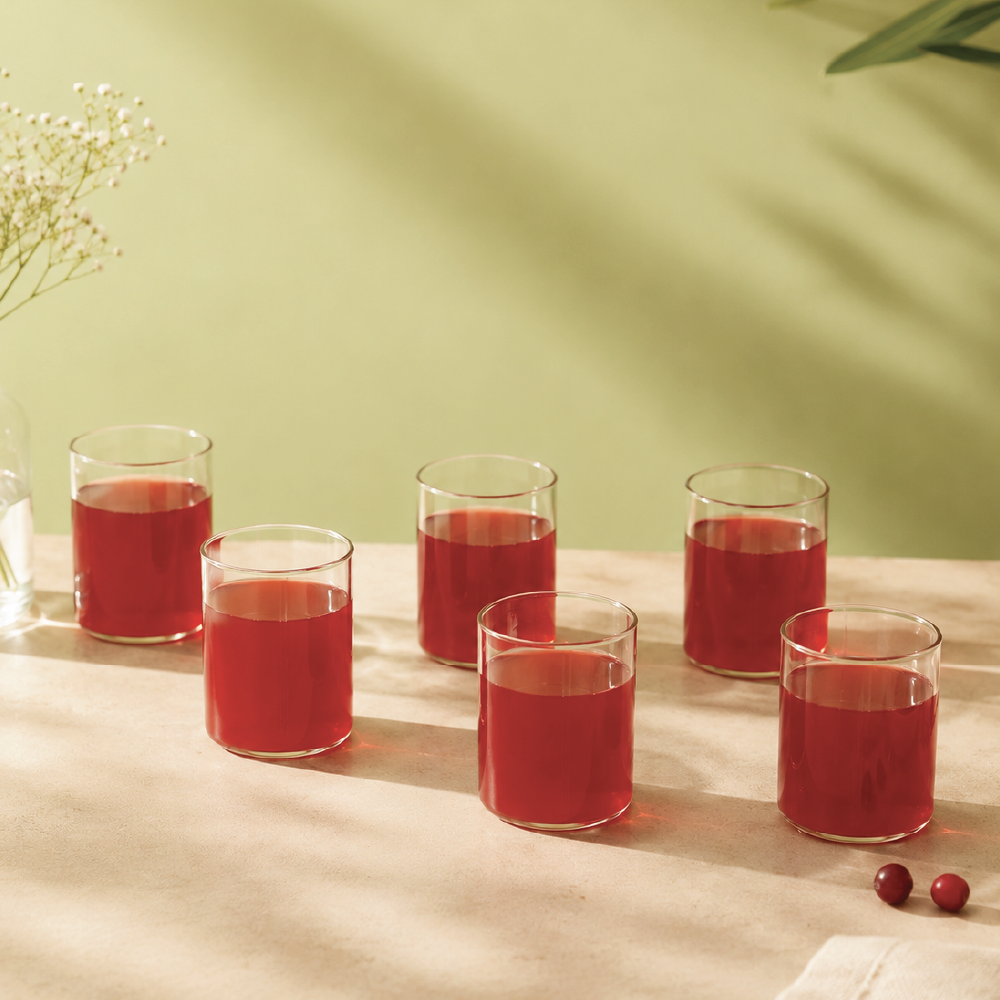 Vision Squat Glass Tumbler Set