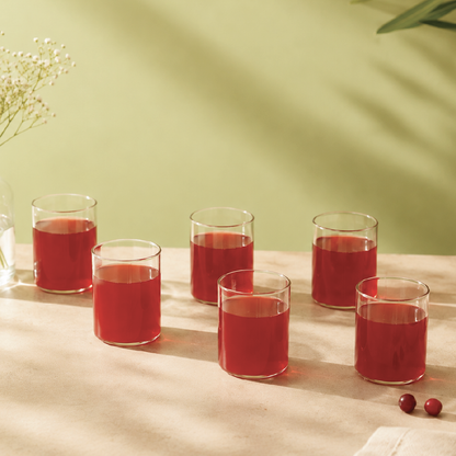 Vision Squat Glass Tumbler Set