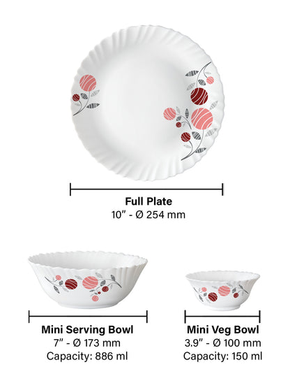 Larah by Borosil, Dahlia Dinner Set, 24 pc