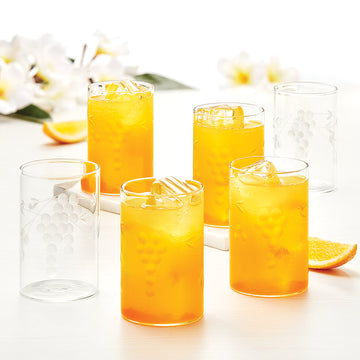 Borosil Berry Glass, Set of 6, 350ml