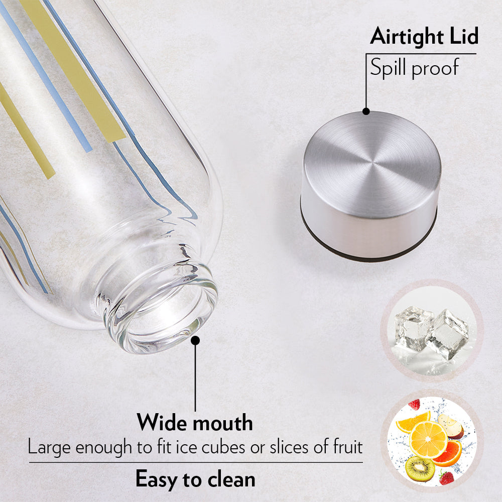 My Borosil Glass Water Bottles Sintra Glass Bottle w Narrow Mouth, Silver Lid