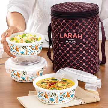 Borosil Lunch Box - Set of 2 - 13 Oz Glass Lunch Salad Containers with Soft  Insulated Lunch Bag, 100% Leakproof Locking Lids, BPA Free, Microwavable &  Dishwasher Safe, Lunch Box For