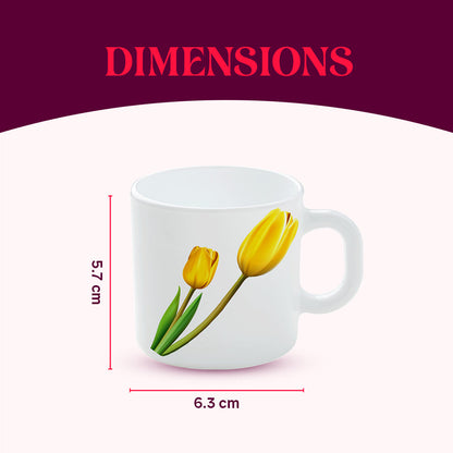 Larah by Borosil Lyana Mug Set, 240ml x 2