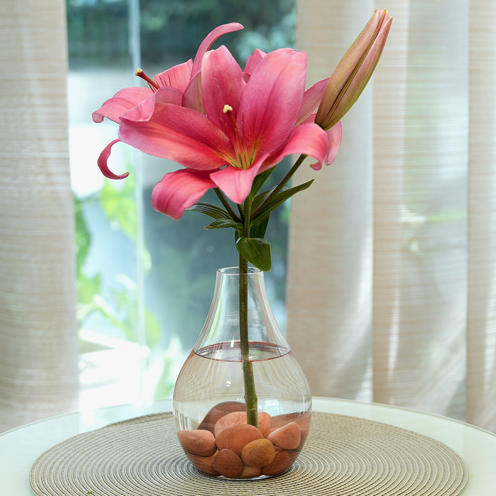 Borosil Grace Vase, 1 Unit India