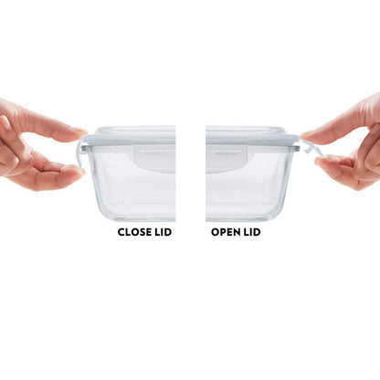 My Borosil Glass Lunchboxes 320 ml x 2 Indigo Glass Lunchbox, Square x 2 (Flat Bag)