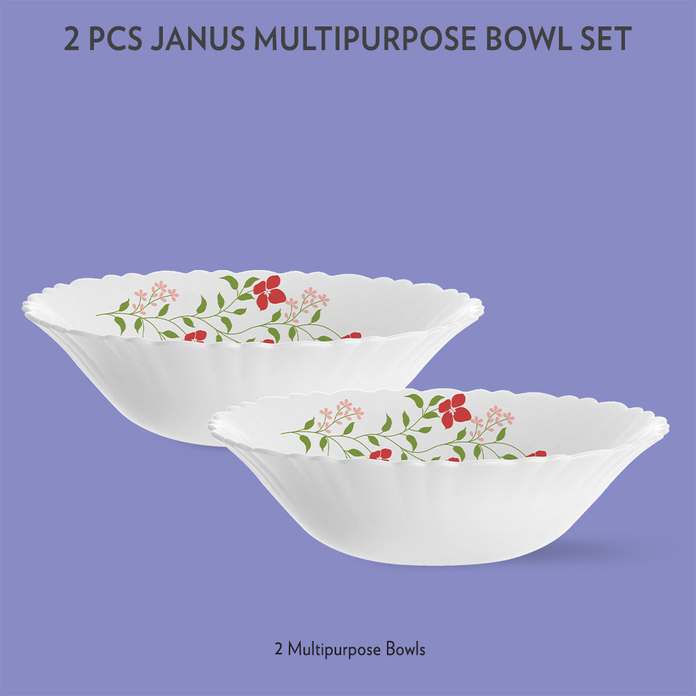 My Borosil Opalware Mixing & Serving Bowls 2 pc Set Janus Multipurpose Bowl