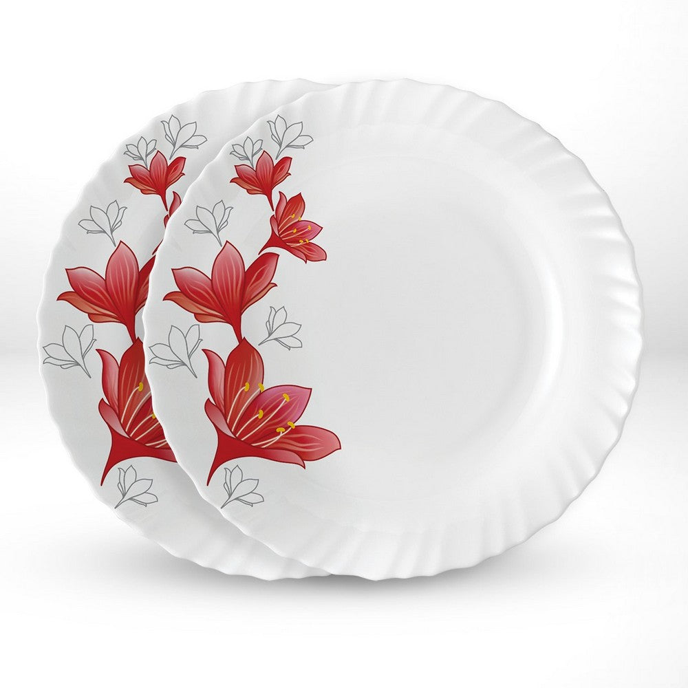 My Borosil Plate Sets 2 pc Set Ruby Noodle / Soup Plate Set