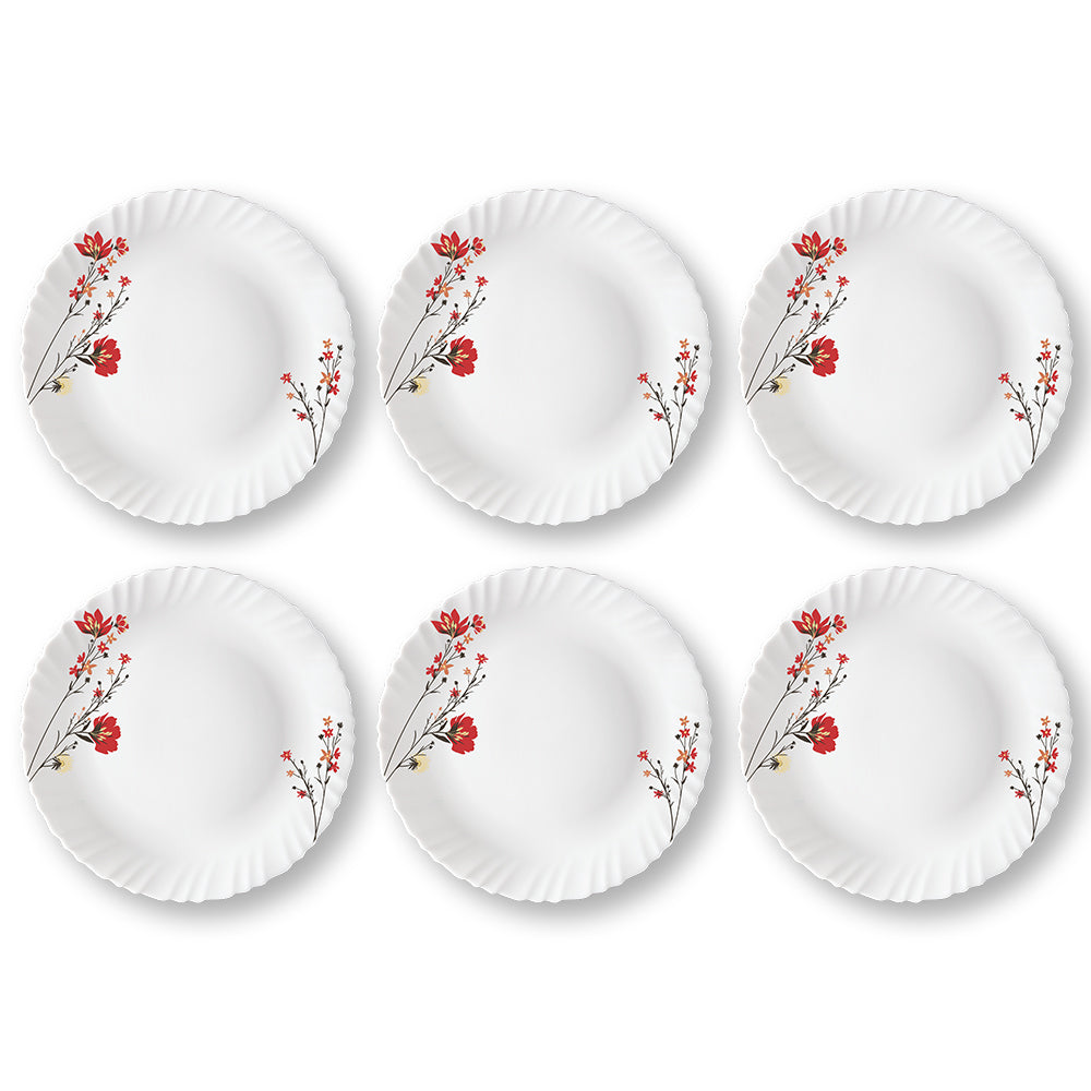 My Borosil Plate Sets 6 pc Set Chrys Red Full Plate Set