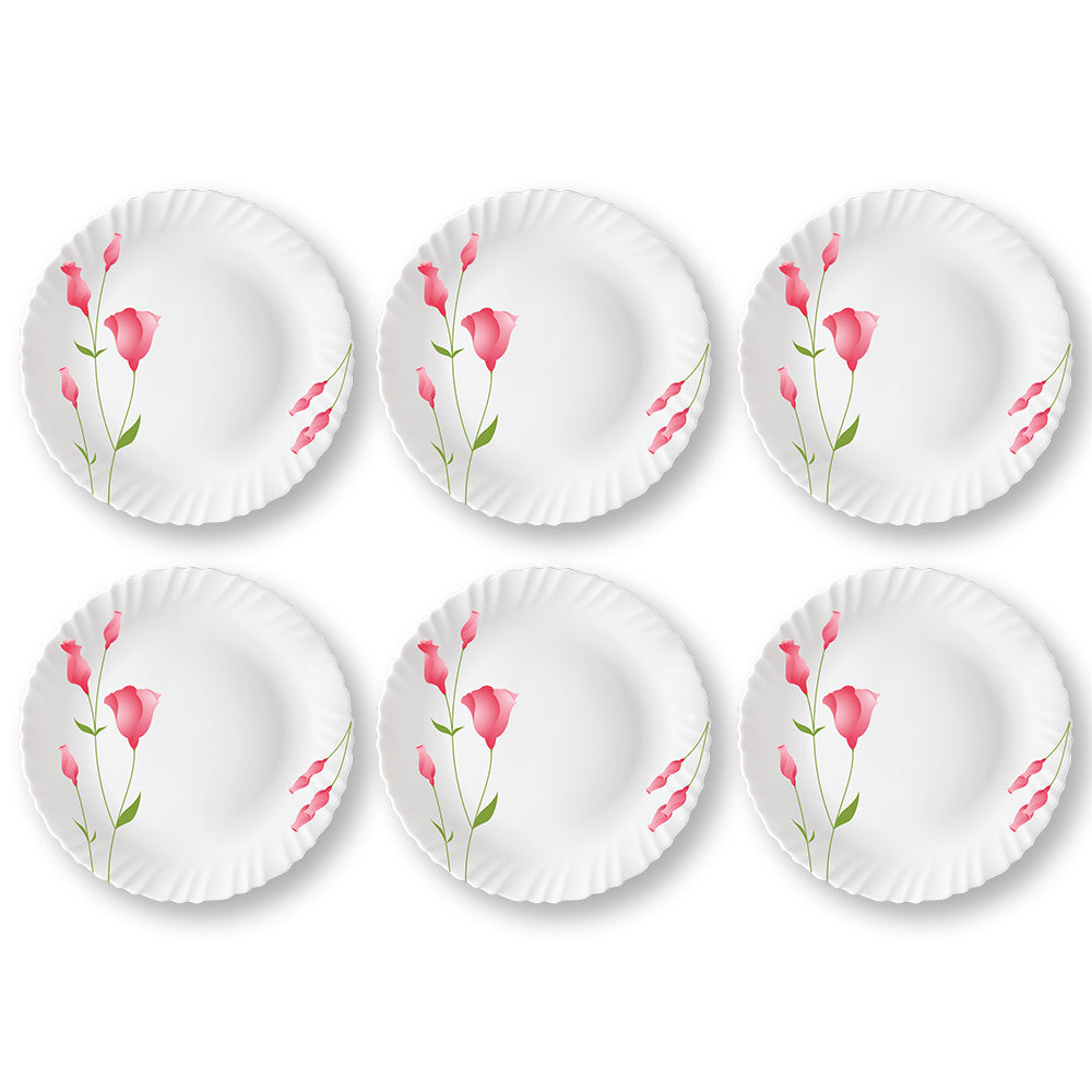 My Borosil Plate Sets 6 pc Set Diana Full Plate Set