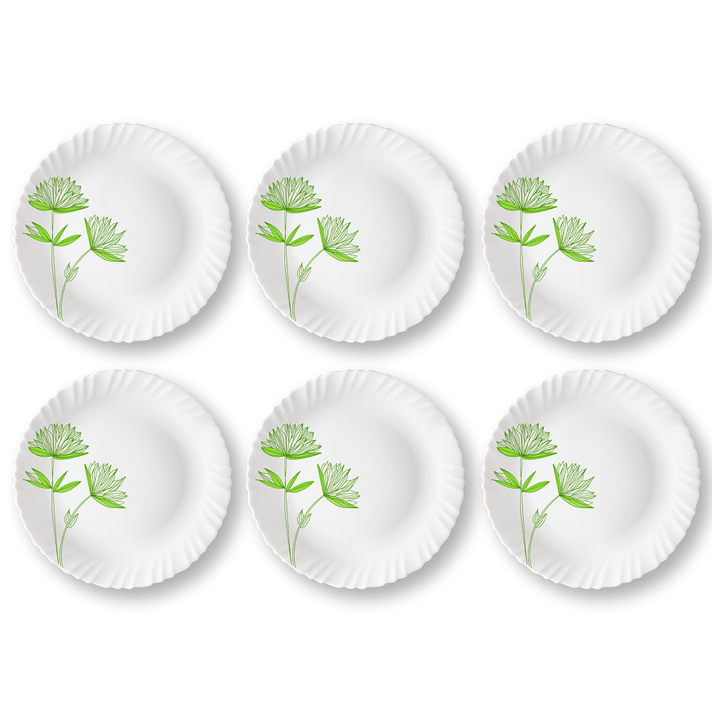 My Borosil Plate Sets 6 pc Set Green Lily Full Plate Set