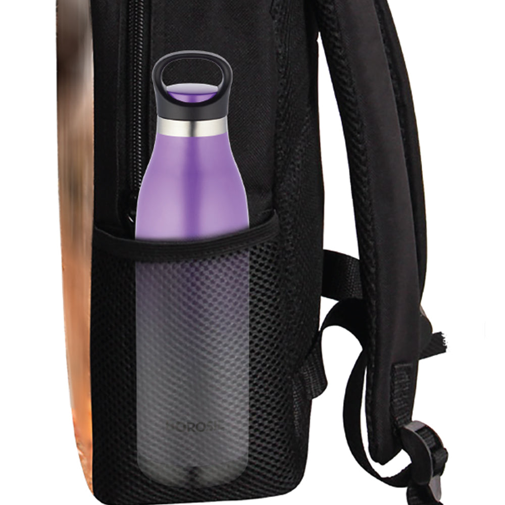 My Borosil Stainless Steel Bottles 700 ml ColourCrush Violet