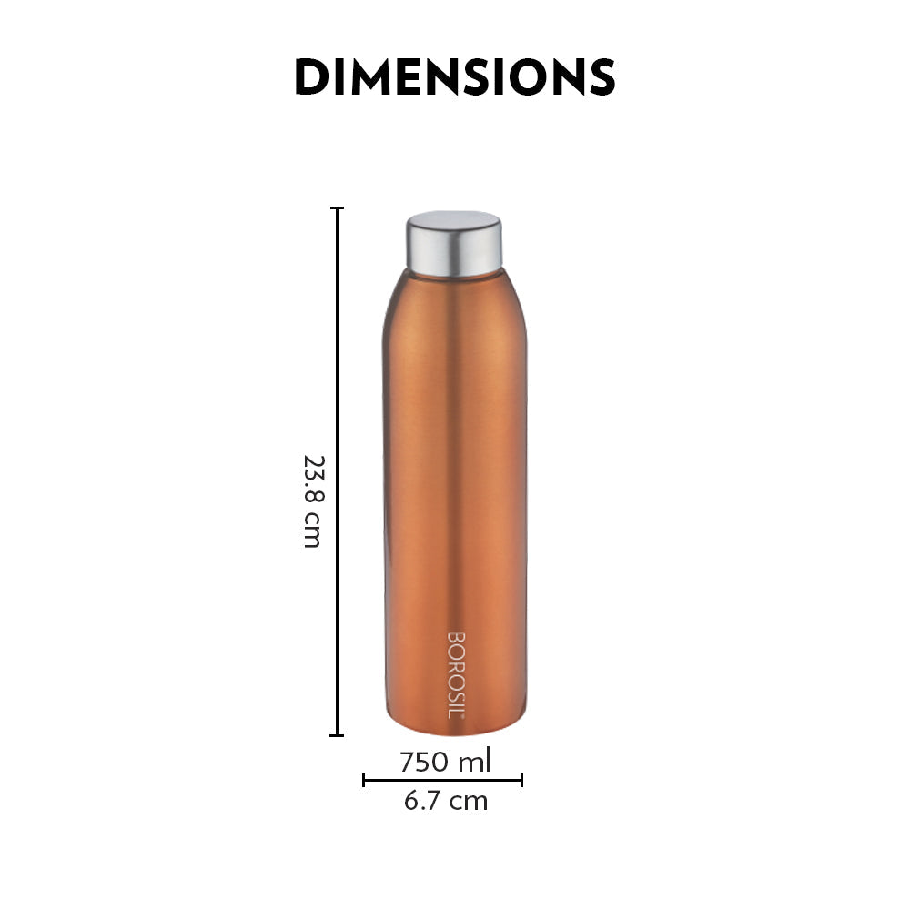 My Borosil Stainless Steel Bottles 750 ml EasySip Bronze